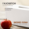Бизнес-план производство газобетонных блоков (газобетона)