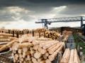 Деревообрабатывающее предприятие полного цикла переработки