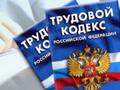 Услуги по кадровому делопроизводству, оформление документов дистанционно
