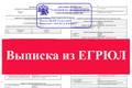 Выписки срочные из ЕГРЮЛ