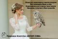 Регистрация акционерных обществ