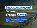 Продаётся Интенсивный ягодный сад. Белокуриха, Алтайский край.